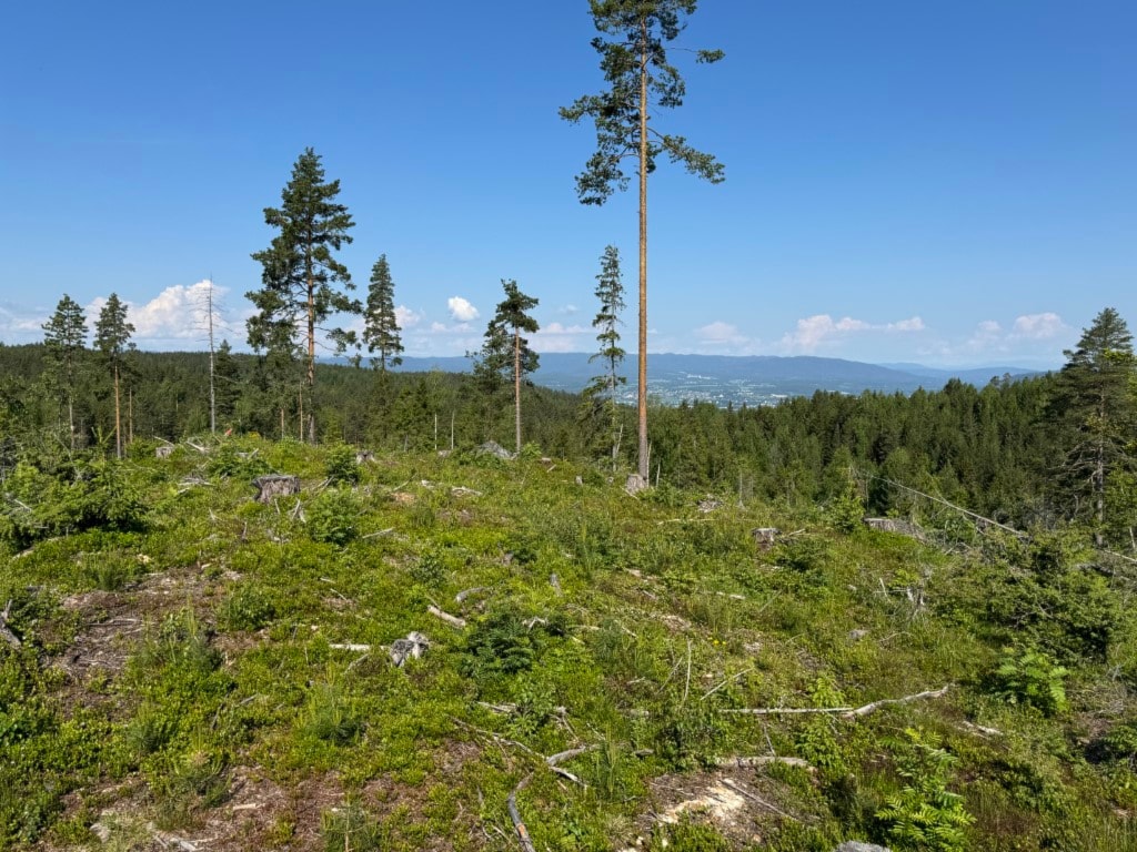Treningsløp Grytjerna